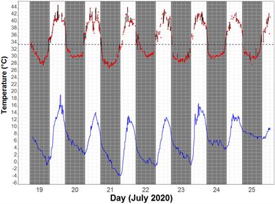 Heterothermy in a Small Passerine: Eastern Yellow Robins Use Nocturnal Torpor in Winter